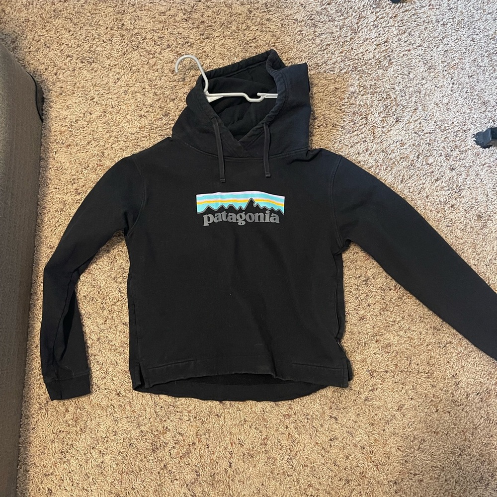 Patagonia sweatshirt hoodie  womens